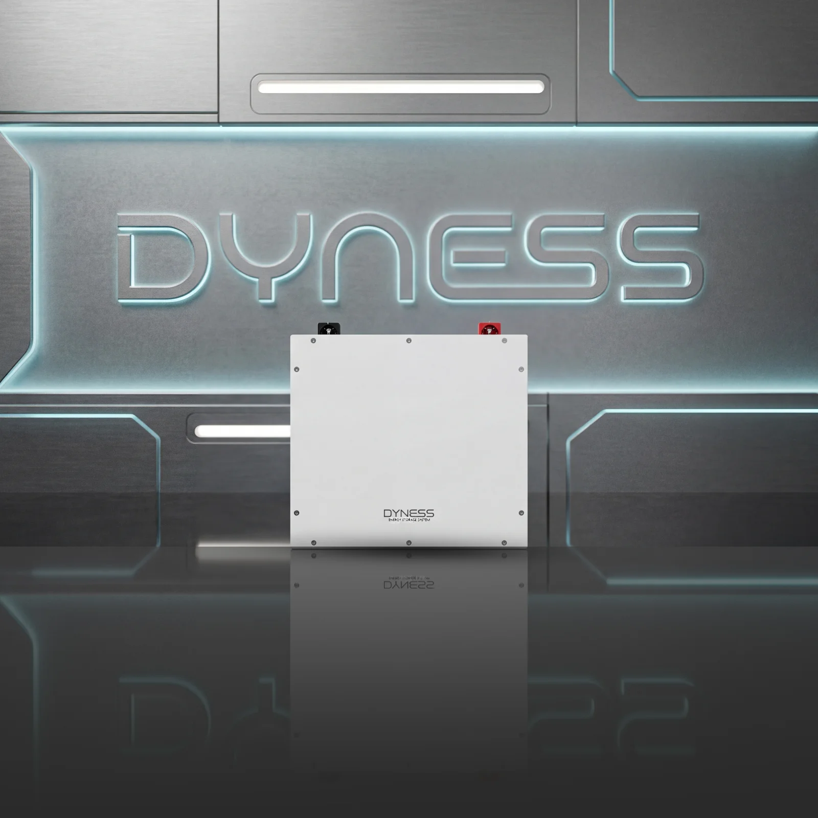 DYNESS